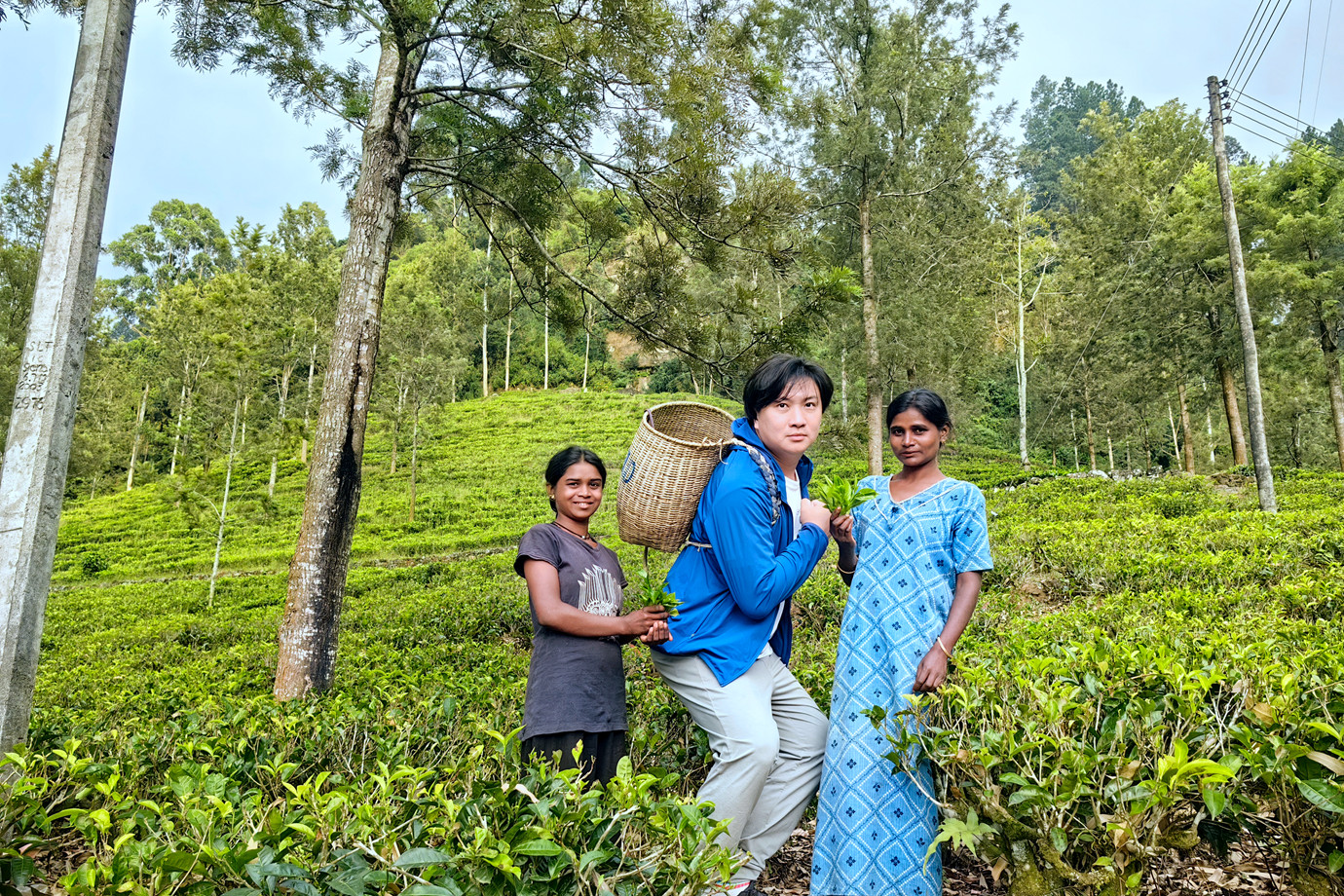 斯里蘭卡 - 努沃勒埃利耶 Nuwara Eliya 茶園